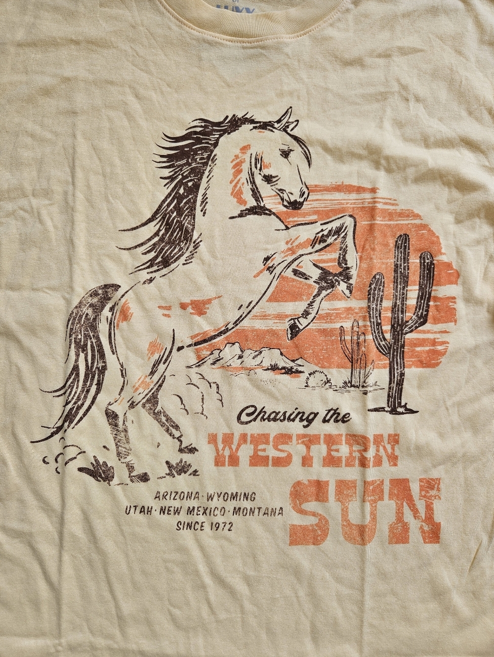 Juniors' Threads of Luxx Horse "Western Sun" Oversized Graphic Tee, M